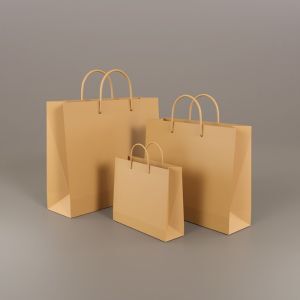 Is Switching to Brown Paper Bags Really Better for the Environment? A Guide for NZ Retailers